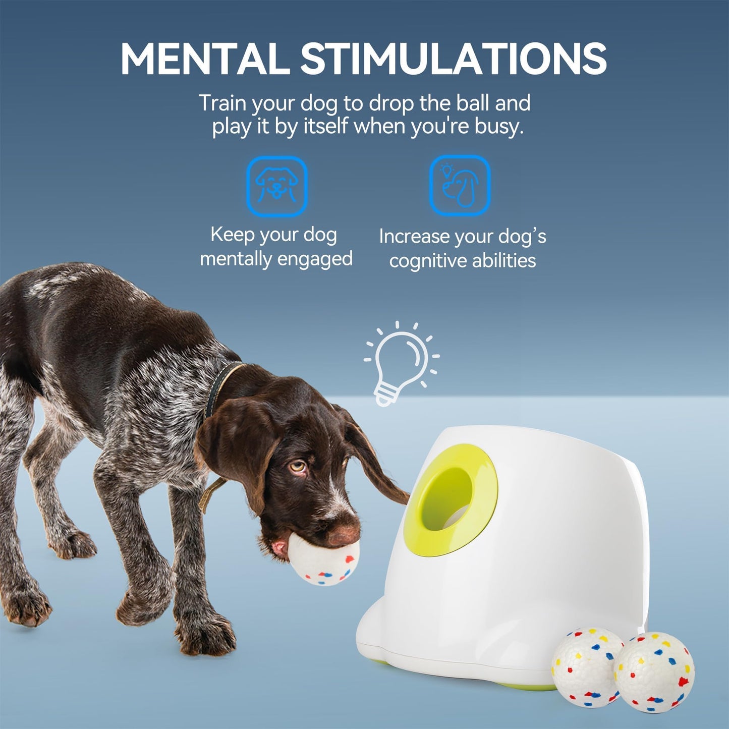 ALL FOR PAWS Automatic Dog Ball Launcher with 2.5in EPTU Balls, Ball Thrower for Medium to Large Dogs, Interactive Dog Fetch Toy for Mental & Physical Exercise