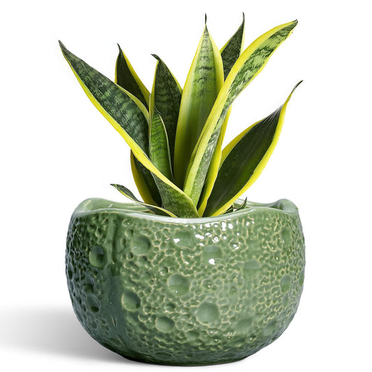 Thirtypot 8 Inch Plant Pot - Ceramic Pots for Plants with Drainage Hole, Round Decorative Plant Pots for Indoor Outdoor, Modern Unique Flower Pot, Office Decor, Garden Gifts, Green