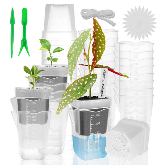 ZPAIO 24 Pack 2.5" Small Self Watering Pots for Indoor Plants, Clear Plant Pots with Drainage & Water Level, Semi Hydroponic Pots for Propagation, African Violet, Cutting and Succulents