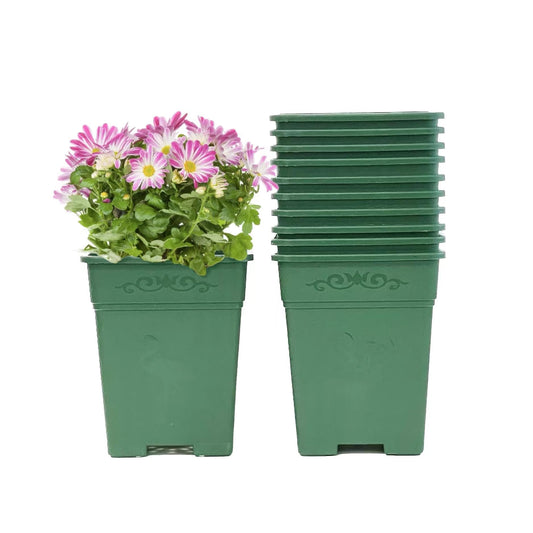 Cotta Planters Square Nursery Pot 0.5 Gallon 5 Inch Plastic Planters for Outdoor Indoor Plants 10-Pack with Drainage Holes Green