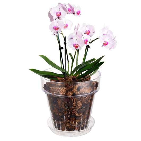 SUADEN 7.1 Inch Clear Acrylic Planter Pot with Tray,Orchid Pot with Drainage Holes,Side Holes for Hanging,Twist-Lock Saucer for Easy Moving, Transparent Containers for Indoor Plants Herbs