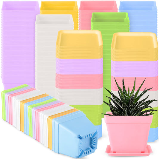 Amyhill 100 Pcs 4 Inch Flower Pots Square Plants Nursery Pot Plastic Plant Seedling Pots Small Nursery Transplanting Planter Container with Saucer for Indoor Succulent Balcony Garden (Classic Color)