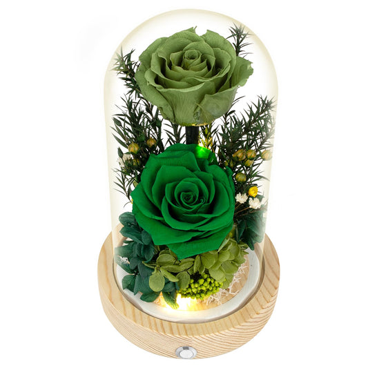 Regalo Flor Preserved Flowers Gifts for Women, Unique Green Preserved Roses in Glass Dome, Forever Flowers for Mom, Birthday Gifts for Women