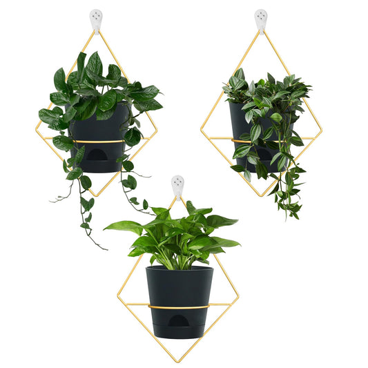 Koalaime 3 Sets Wall Planters for Indoor Plants Geometric Hanging Planters for Indoor Plants - Self-Watering Flower Pots with Black Metal Holder, Mounted Succulent Planter, 5" Black Plant Pot
