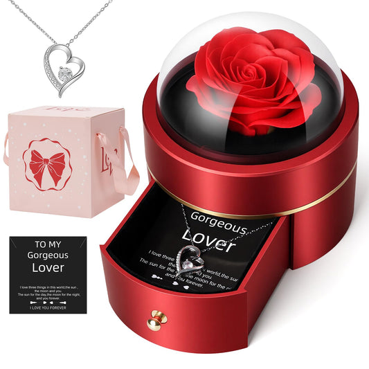 iceevery Forever Rose,Flowers,Preserved Roses with Necklace,Preserved Real Rose with Necklace,Flowers for Delivery Prime,Rose in A Box,Romantic Gifts for Mama,Mother(Sliver to My Lover)