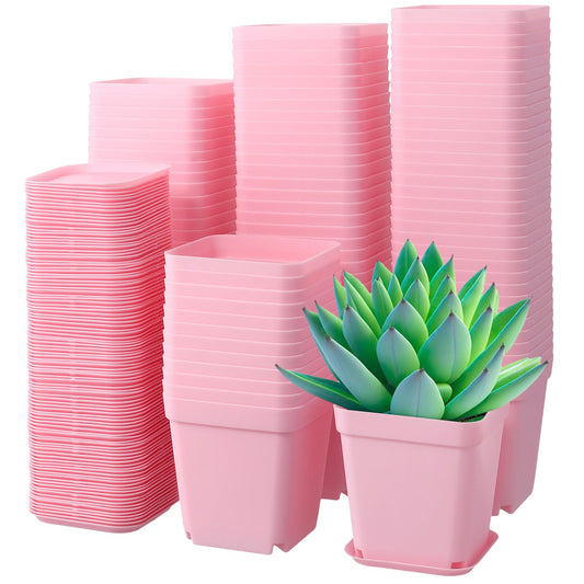 HOIGON 100 Pack 2.75 Inch Pink Square Nursery Pot, 7cm Thickened Plastic Nursery Pots with Drain Holes Trays, Small Square Planting Containers Bulk Set for Seedling Flower Tomatoes Basil