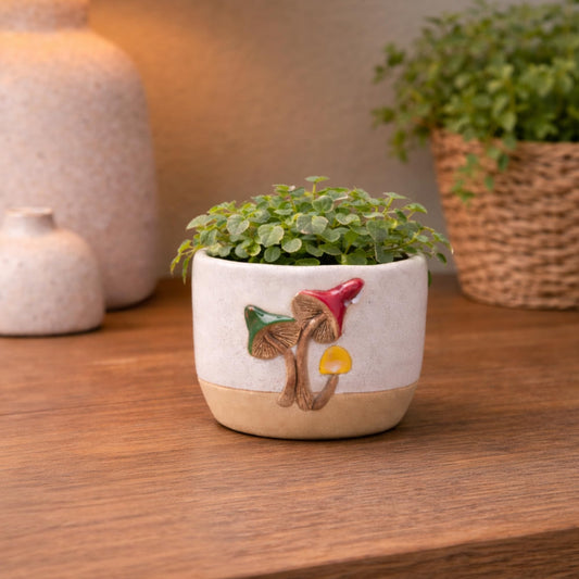 The Bridge Collection Mushroom Accent Ceramic Plant Pot – Detailed Forest Mushroom Motif with Textured Finish – Indoor Or Outdoor Decorative Plant Pot for Shelves Patios Or Garden Spaces