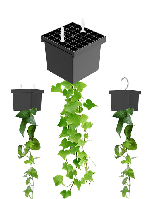 TYAMTOGSM Wall Hanging Planters for Living Vines or Artificial Vines, Wall Mounted Plant Holder Fits for Ceiling wall Mount or Wall Hook Mount Wall Planters for Indoor Plants (Black)