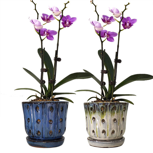 Grdthzey Orchid Pots 4.9 inch Round Ceramic Orchid Pots with Holes Set of 2 (SkyBlue+White with Lemon Green)
