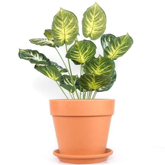 YISHANG 12 Inch Clay Pot for Plant with Saucer - 1 Pack Large Terra Cotta Plant Pot with Drainage Hole, Clay Planters Pot, Terracotta Pot for Indoor Outdoor Plant,Round Flower Planter Pots for Plants.