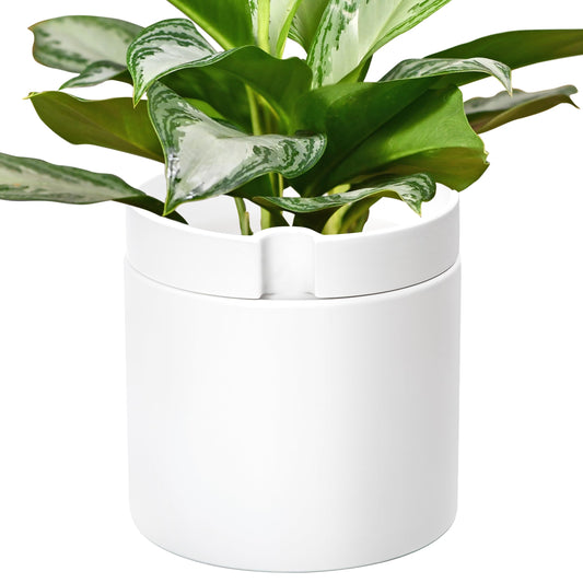 Phoenix Vine 10 Inch Cylinder Self Watering Planter, White Glazed Outer Plant Pot with Dolomite Clay Inner Planter for Indoor Plants, White, 31-A-I-W