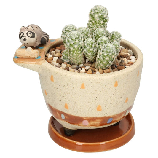 MAKOLO Ceramic Succulent Planter Small Pot with Drainage Hole and Tray for Cactus Flower Plant Container Shelf Home Office Desk Decoration (Raccoon)