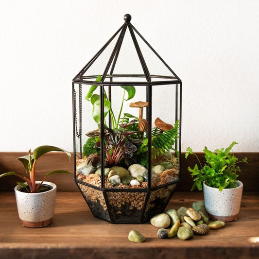 SuperMoss (90405) Glass Terrarium – Elegant Indoor Gardening Décor, Ideal Gifts for Plant Lovers, Modern Home & Office Decoration, 7.5” x 7.5” x 14”, Greenhouse