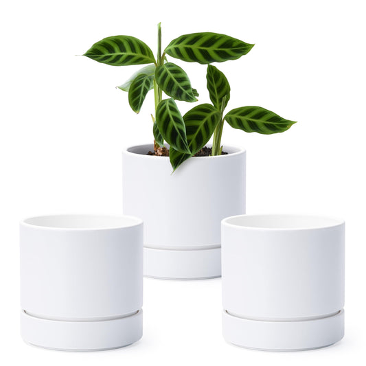 6 Inch Modern Plastic Round Pots for Indoor Houseplants and Herbs, Pack of 3 Planter Pot with Drainage Hole & Saucer, Deep Water Catch Tray, Straight Cylindrical Pot for Plants, Matte White, 23-D-S-1