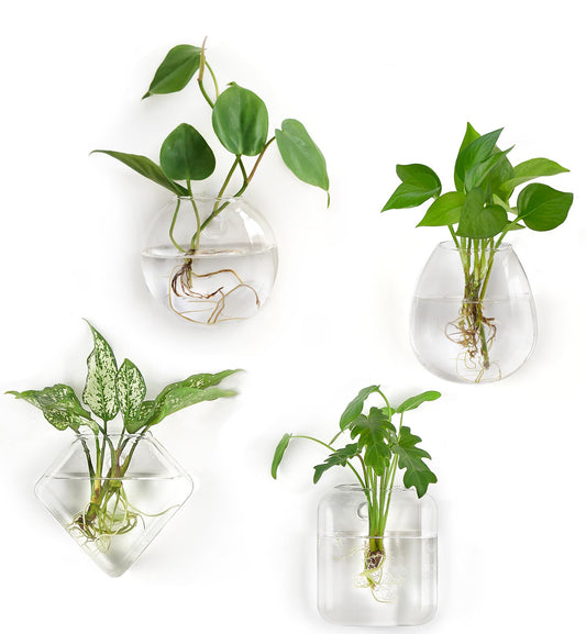 Mkono Propagation Wall Hanging Planter Glass Terrarium Flower Vases Holder for Indoor Plants, Home Living Room Office Decor Plant Lover Gifts, Set of 4(Plants not Included)
