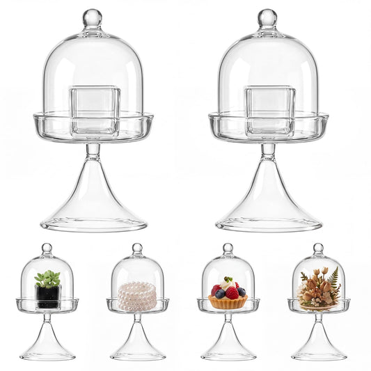 Gandeer 6 Pack Mini Glass Cloche with Base Bell Jar Dome & Acrylic Cube Planter 2.7 x 2.7 x 5'' Clear Glass Terrarium for Succulents Moss Cakes Miniature Dioramas Specimens Jewelry Rings Display