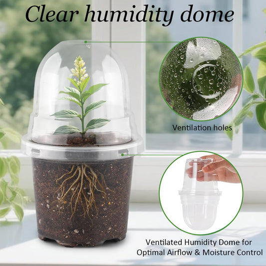 RooTrimmer Transparent Nursery Pots 4Inch with Humidity Domes for Seeds Starting, Clear Plastic Plant Pots with Drainage Holes (4Inch, 30Pcs,Clear Pots with Lids)