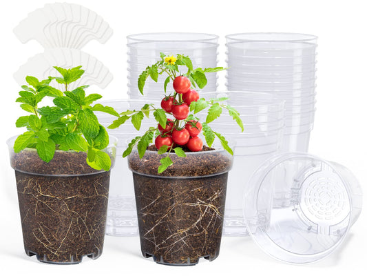 homenote Clear Nursery Pots for Plants,5 Inch Plant Pot for Planting Plastic Seedling with Drainage Holes Seed Starter Flower High Transparency with 20 Labels (30 Pack)