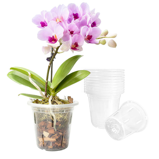CHTASO 10 Pack Clear Orchid Pots with Holes, 6.7 Inch Slotted Plastic Planters for Repotting, Breathable Flower Pots for Indoor Outdoor Plants, Promotes Healthy Root Growth