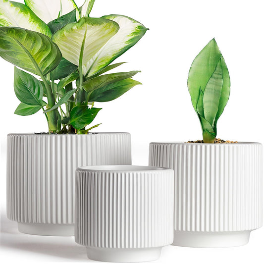 QINLANG White Ceramic Planters for Indoor and Outdoor Plants, White Plant Pot Set of 3 (7.8/6.5/5.1 inch), Ceramic Flower Pots for Plants with Drainage