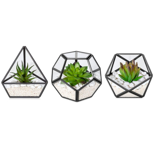 Mkono Artificial Succulent in 3 Pack Mini Glass Geometric Terrarium, Miniature Potted Faux Plant Bookshelf Desk Boho Office Room Decor for Women Girls Dorm Gift Idea, Black