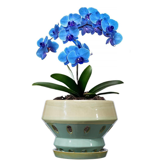 Gepege 6.5 Inch Orchid Pots with Holes for Indoor Plants, Plant Pots with Drainage Hole, Ceramic Planter with Saucers, Indoors Flower Pots