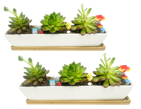 WISH HALLY WOOD White Ceramic Succulent Planter Pots,2 Set of 11inch Long Rectangle Flower Plant Containers with Bamboo Saucers.