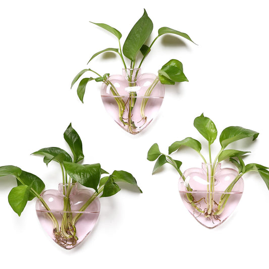 CYZglass Wall Hanging Planter Propagation Station for Indoor Plants Glass Vase Air Plant Holder Gift for Women Girlfriend Plant Lover