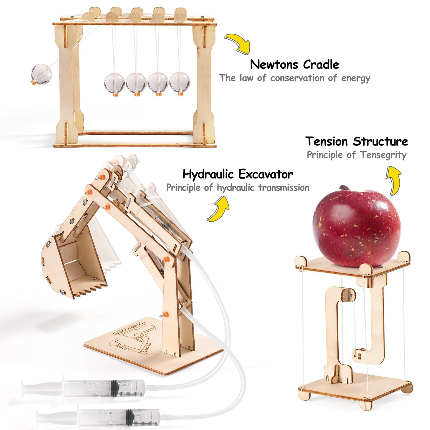 STEM Science Kits for Kids Ages 8-12 8-10, Wood Building Crafts Kits for Boys 6-8, STEM Toys for Boys Age 8-12 6 7 10 11 13 Years Old Gifts, Engineering Experiment Projects, 3D Wooden Puzzles 8-13