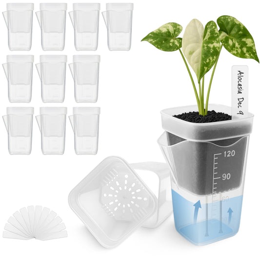 Vandorelle 12 Pack 2" Mini Self Watering Pots for Indoor Plants,Small Clear Plastic Planters,Alocasia Corm Propagation,African Violet,Cutting,Seeding,Water Level Indicator,Drainage Hole,12 Plant Label