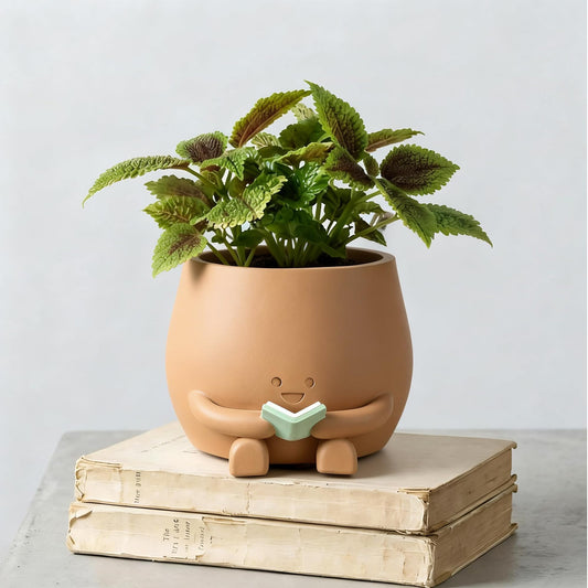 ZSHAWN Smiley Face Planter, Book Lover Plant Pot, Resin Bookworm Planter with Drainage Hole Plug, Cute Reading Succulent Pot Happy Face Indoor Desk Bookshelf Home Decor Peach Color