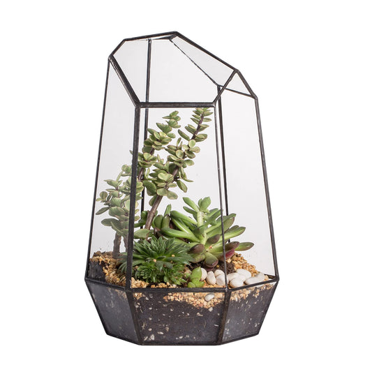 NCYP No Door Geometric Glass Terrarium Planter for Small Succulent, Small Cacti, Black Irregular Opened Terrarium Pot, Indoor Home Garden Office Tabletop Decor, 6.5" x 5.7" x 9.8" (No Plants)