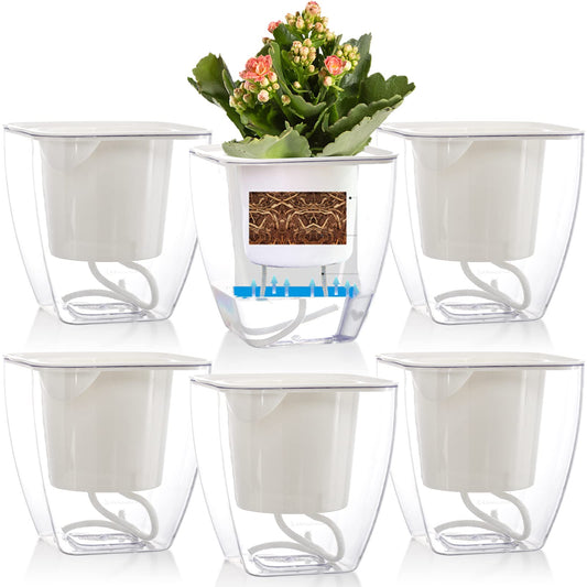 Lyellfe 6 Pack Plastic Self Watering Pots, 4 Inch Clear African Violet Pots for Indoor Plants, Automatic-Watering Planter with Drainage, Wick Rope, Windowsill Gardens, Herb, Orchid