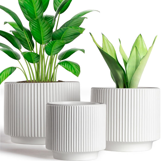 Houlu Set of 3 White Ceramic Plant Pots (7.8/6.5/5.1 inch) with Drainage, Small Flower Planter for Indoor and Outdoor Plants