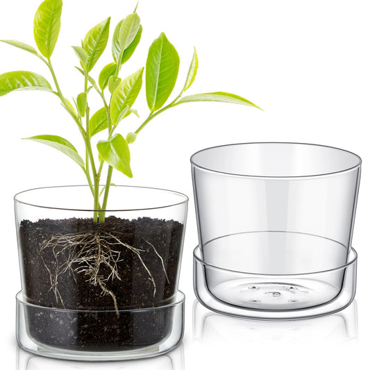 Singhoow 2 Sets 6 Inch Glass Planter with Drainage Hole and Tray Indoor Clear Plant Pots with Saucer Modern Decorative Orchid Glass Pot for Outdoor Flower Plants