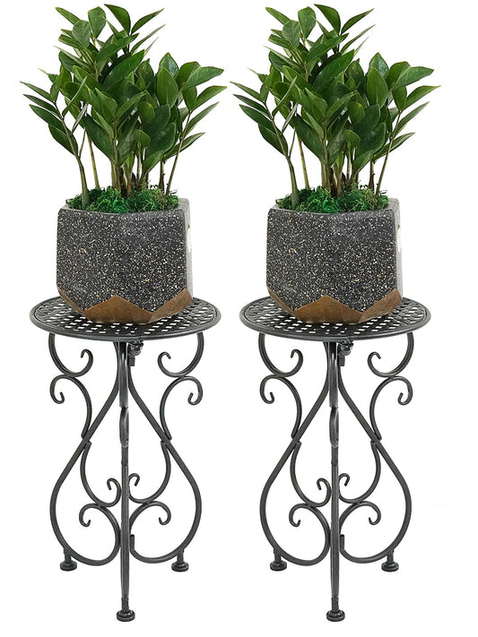 NAKUPE Metal Plant Stands 2 Pack, Heavy Duty Plant Pedestal 17" Tall, Single Flower Pot Holder for Indoor, Outdoor, Patio, Porch, Garden, Balcony, Black