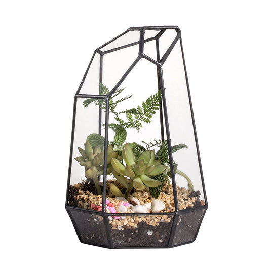 NCYP Small No Door Glass Geometric Terrarium - 4.9 x 3.9 x 7.4 Inches Irregular Clear Terrarium Pot for Mini Succulents, Small Cactus, Indoor Garden Tabletop Decoration (No Plants)