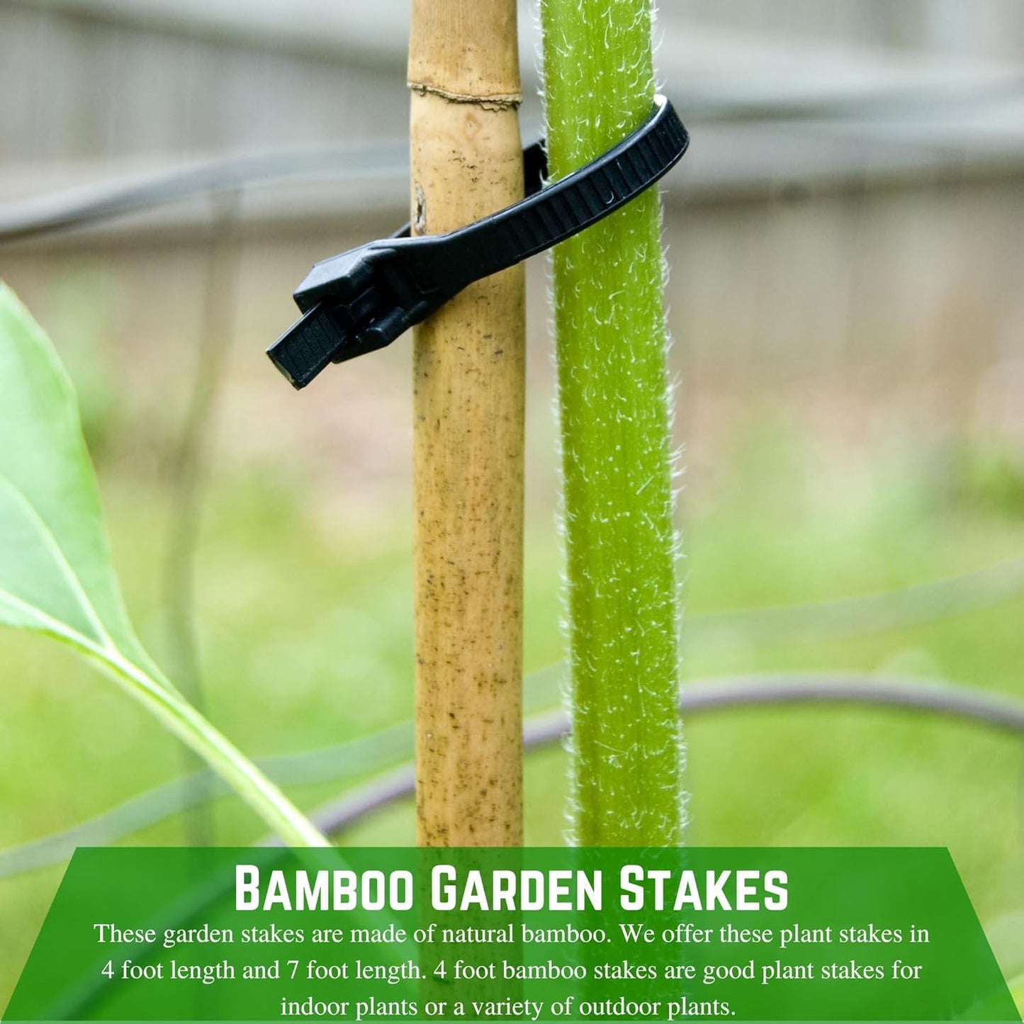 Farm Plastic Supply - Bamboo Garden Stakes - Bambo Sticks, Bamboo Plant Stakes for Outdoor Plants, Plant Support Stakes for Indoor Plants (4 Foot, 25)