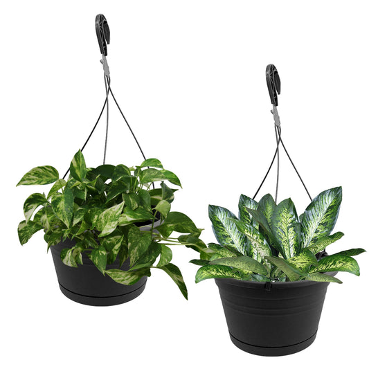 J3A Collections 10in Euro Hanging Planters for Indoor Plants 2 Pieces 10inch Hanging Planter with (2) 40cm Hooks, Self Watering Indoor Outdoor Hanging Pots with Drainage Holes and Removable Drip Tray