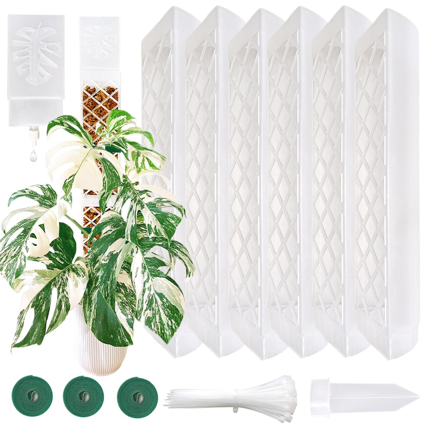 MIIIM 6 Pcs Self-Watering Moss Poles, D Shape Moss Pole Kit for Climbing Plants Indoor, Semi Transparent Monstera Plant Support, 69 Inches in Total Length