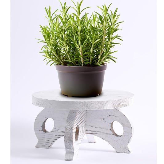 VZODESR White Wooden Plant Stands Indoor Riser Round Display Stands Farmhouse Display Stool Flower Holder Pedestal Board Pine