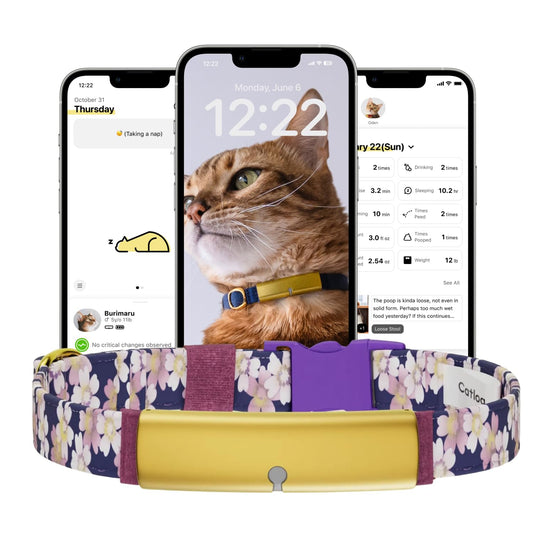 Catlog Health Tracker for Cats - Smart Cat Collar with Safety Breakaway Buckle for Indoor Cats, Wellness Alerts, Real-time Monitoring (Kimono (Sakura -Night-),XL)