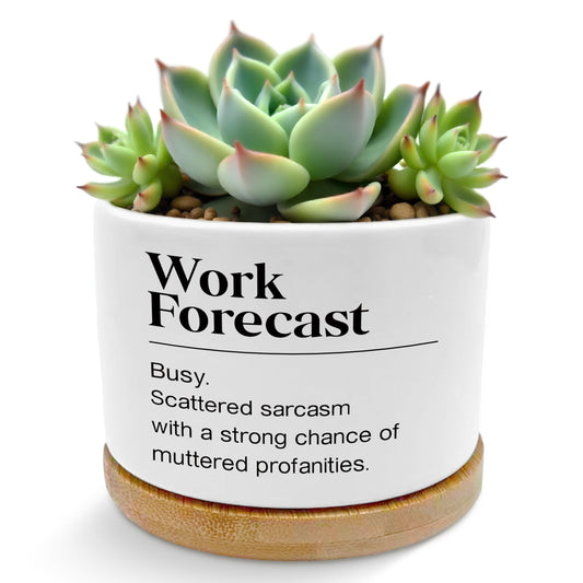 ROXMART Work Forecast Funny Plant Pots, Office Humor Gifts Succulent Planters, Funny Sarcastic Gifts for Coworkers Ceramic Plant Flower Pots for Home Office Desk Table Shelf(No Plants)