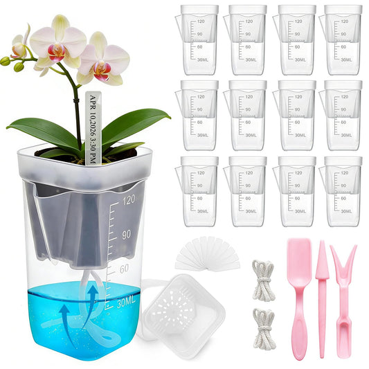 HITOSTAR 12 Pack 2 Inch Mini Clear Self Watering Pots for Indoor Plants, Small Plastic Planters with Drainage, Hydroponic Nursery Propagation Cups, for African Violet Alocasia Pot (2 Inch, 12Pack)