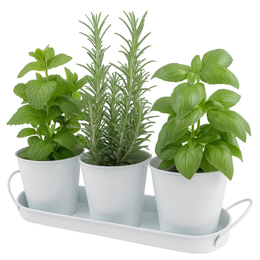 Herb Garden Planter Set – 3-Pcs Set Galvanized Metal Herb Planters for Indoors Plants with Tray – Indoor Plant Pots for Apartment Window, Balcony, Garden – Potting Pots for Herbs and Flowers