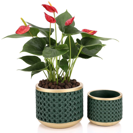 Ten-stone 6&4.4 Inch Cement Planter Decorative Pots with Drainage Hole for All House Plants, Succulents, Flowers, and Cactus (Gold Green)
