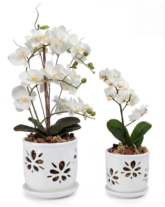 vensovo 5+6 Inch Orchid Pot with Holes and Saucer - White Ceramic Orchid Planter for Repotting, Flower Pot for Indoor/Outdoor Plants (2 Packs)