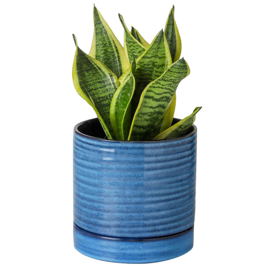 HASENSE 6 Inch Plant Pot, Porcelain Planter Pot with Drainage Hole and Tray, Indoor/Outdoor Reactive Glazes Succulent Cactus Planter, Modern Decorative Gifts for Family and Friends, Blue