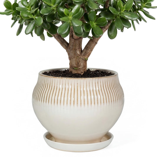SAFIOROIS 10.6 Inch Modern Ceramic Plant Pot with Drainage Hole and Mesh Net, Indoor Outdoor Planter with Saucer & Gardening Glove, Pots for Succulents, Flowers, Large Plants, White