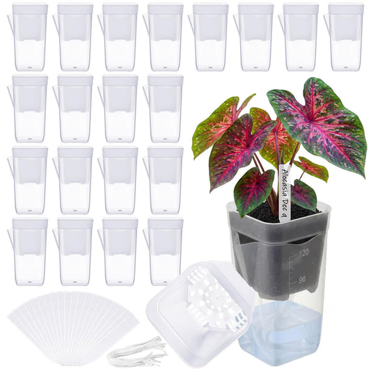 LemonRoad 20 Pack 2" Small Self Watering Pots for Indoor Plants with 20 Plant Label Mini Clear Plastic Planters with Water Level and Drainage Holes for Propagation, Succulents, and African Violet